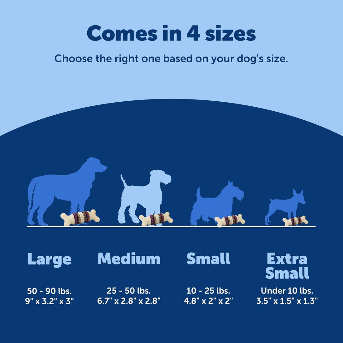 PetSafe Busy Buddy Bristle Bone Dog Chew Toy
