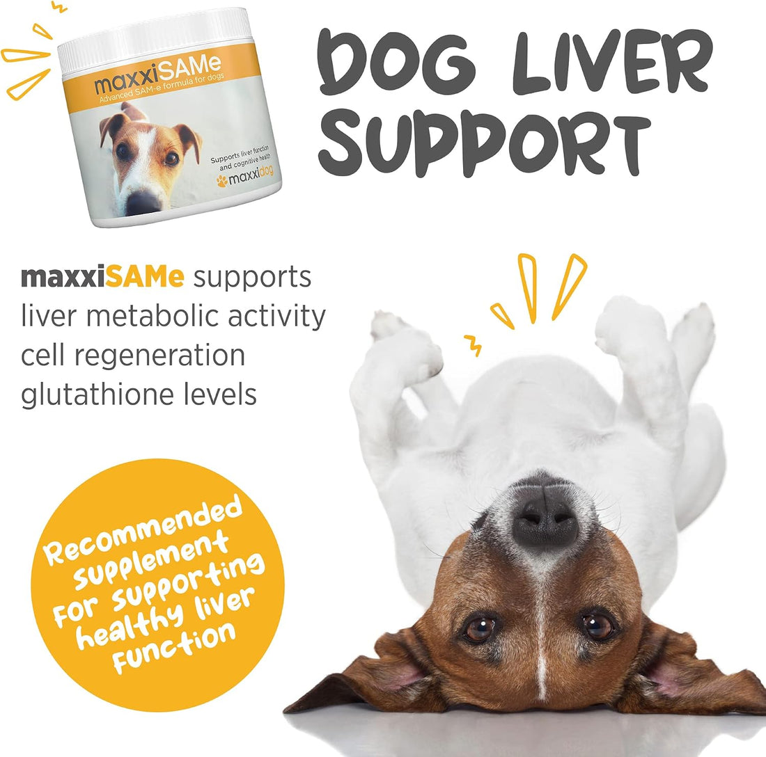 maxxipaws maxxiSAMe Advanced SAM-e Powder Supplement - Liver