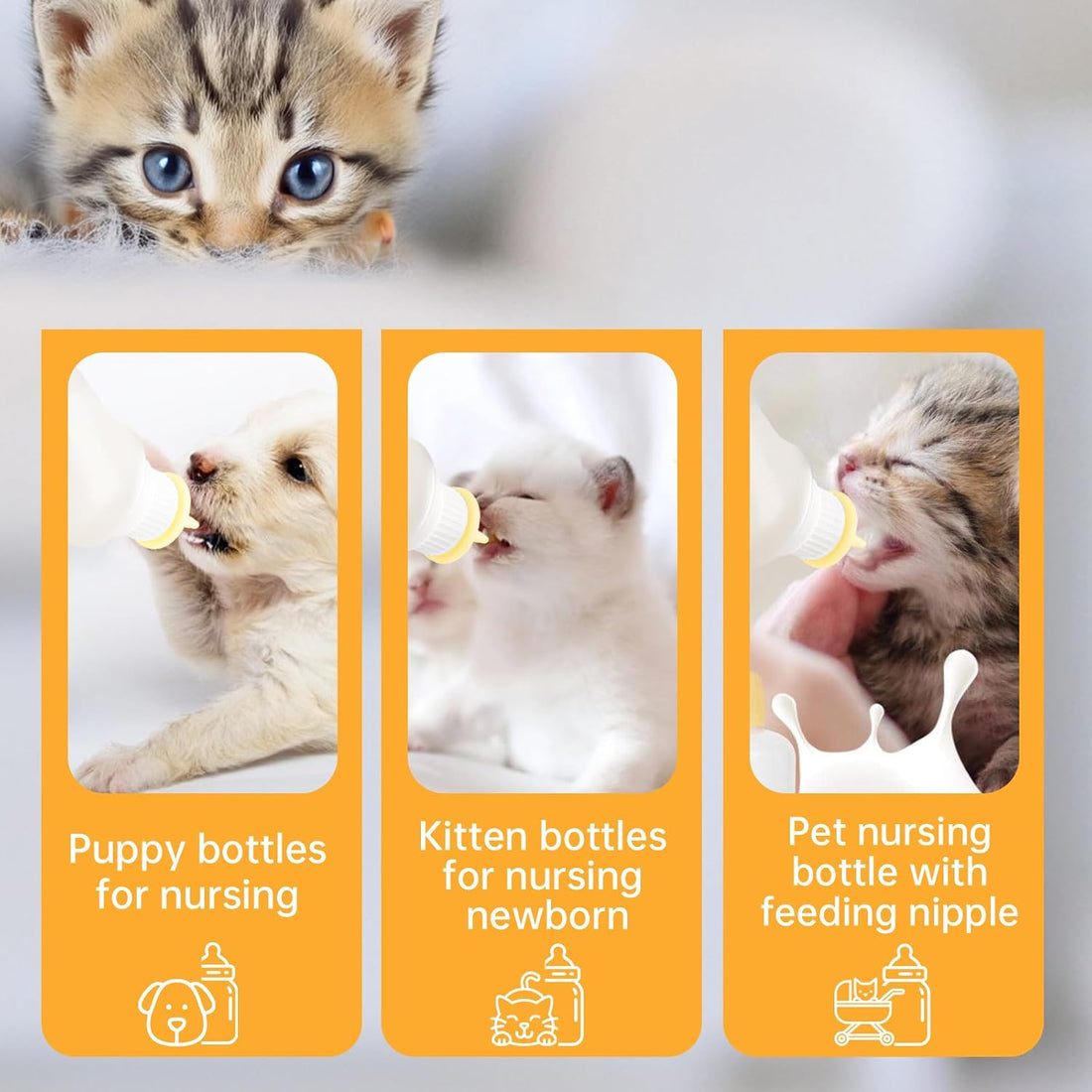 5Pack Kitten Bottle for Nursing Puppy Milk Kitten Bottles Feeding Kit