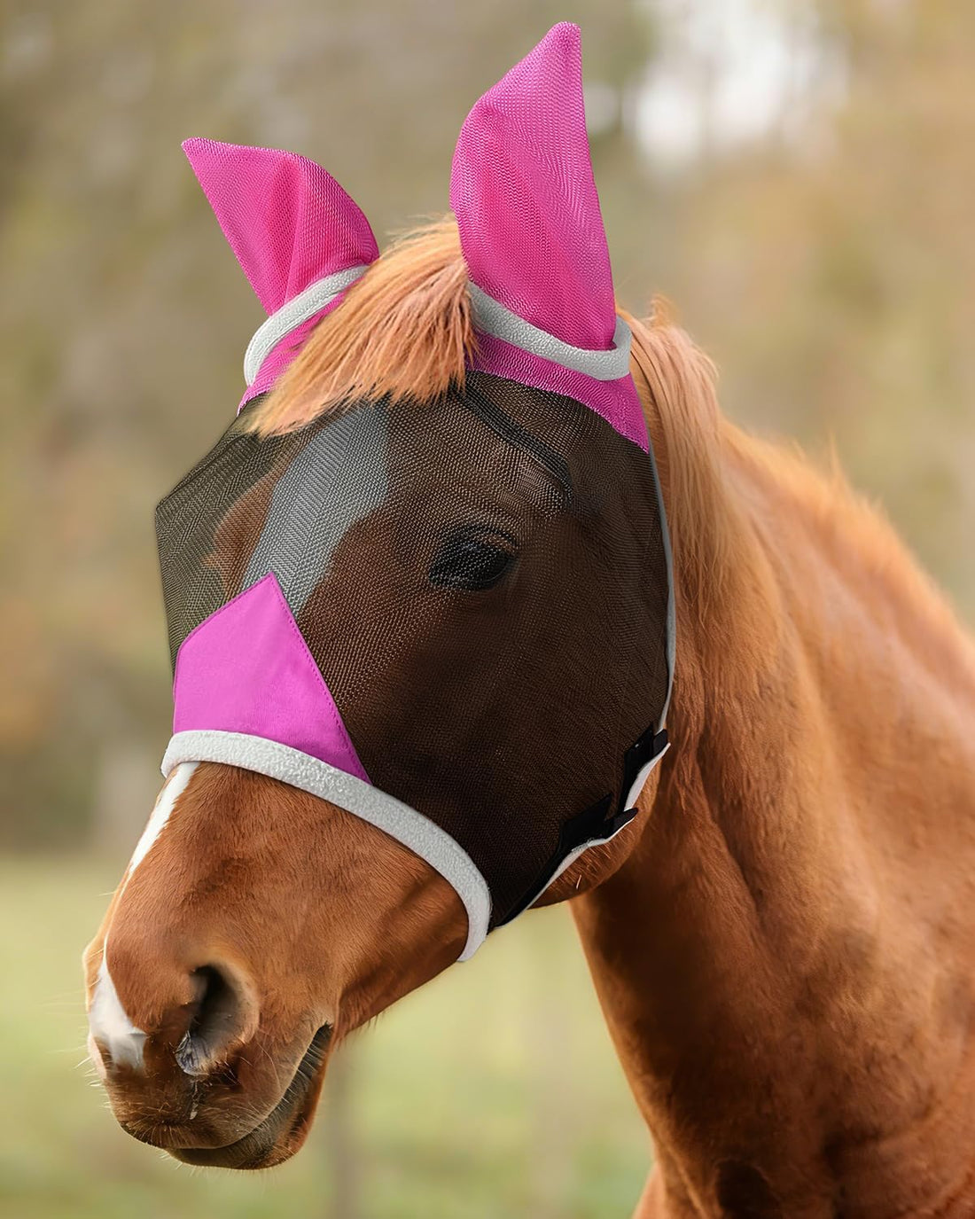 Hilltown Fly Mask for Horse with Ears