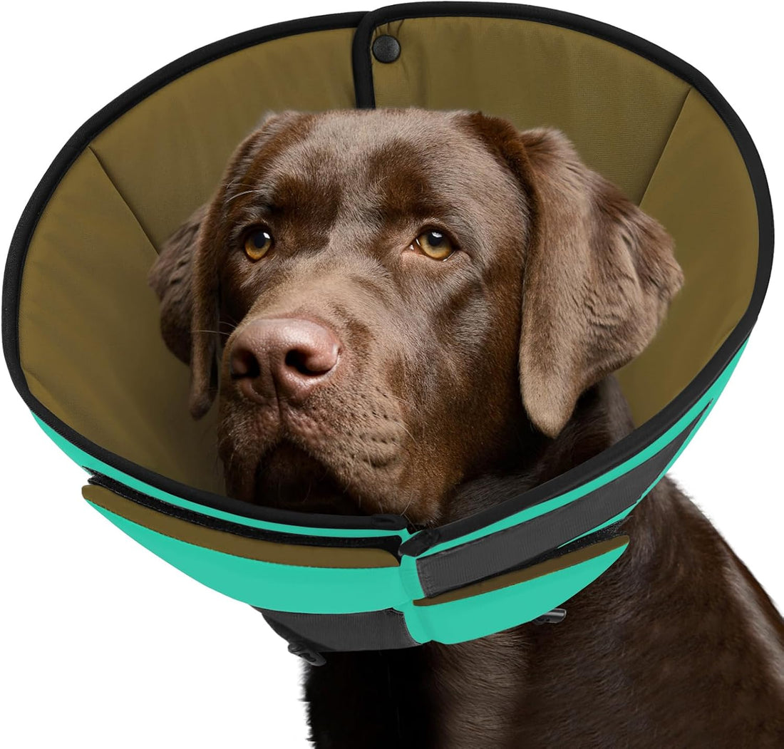 Queenmore Dog Cones for Small Dogs, Soft Dog Cone After Surgery