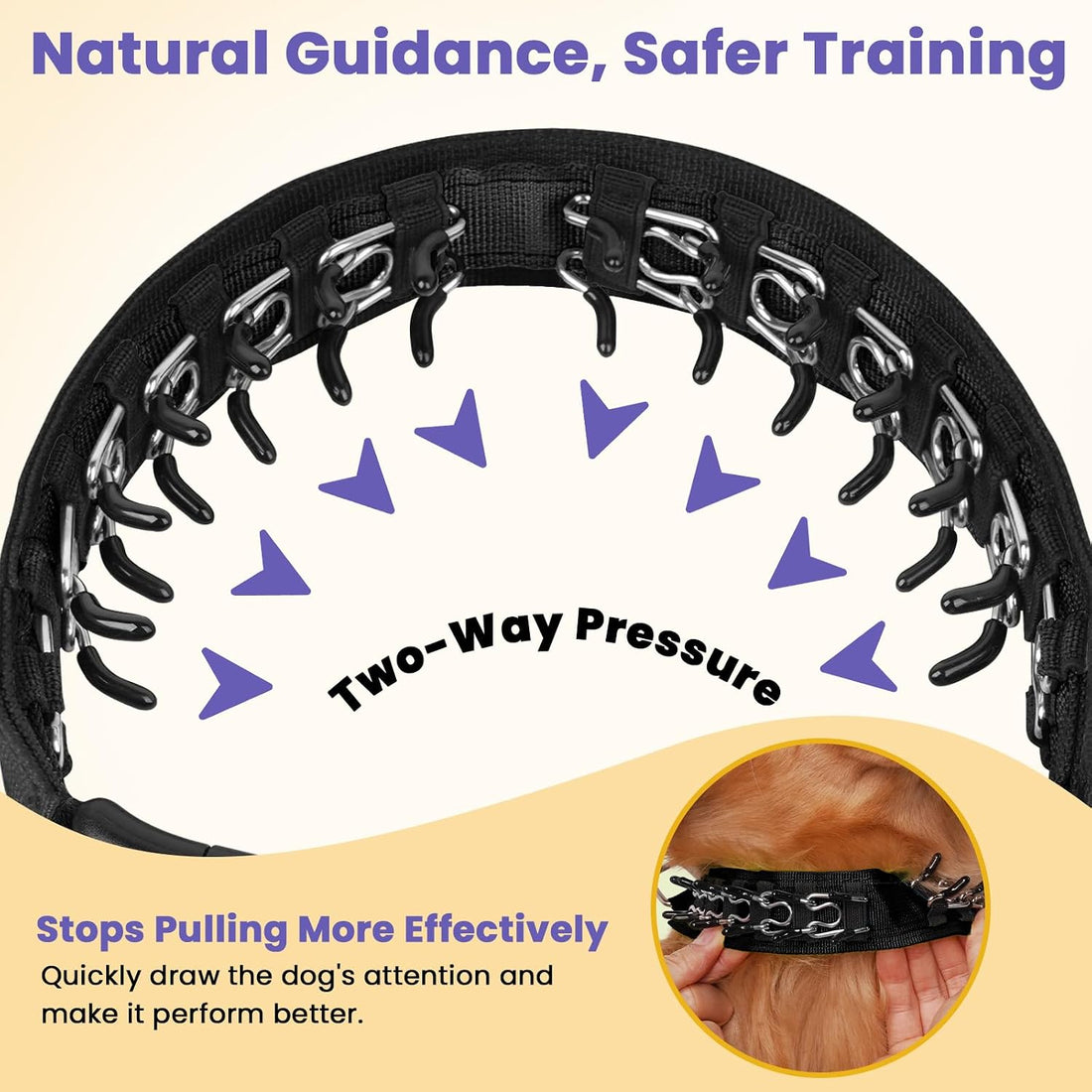 Crazy Felix No Pull Dog Collar, Hidden Martingale Training Collar