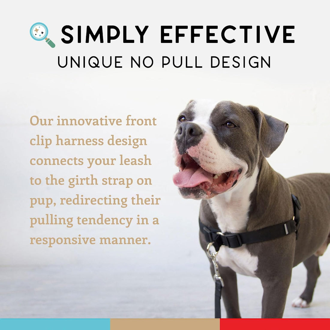 Wildebeest No Pull Dog Harness | Comfortable Training Harnesses