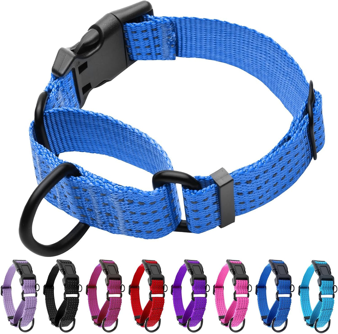 Martingale Dog Collar, Reflective No Pull with Buckle, Blue, M