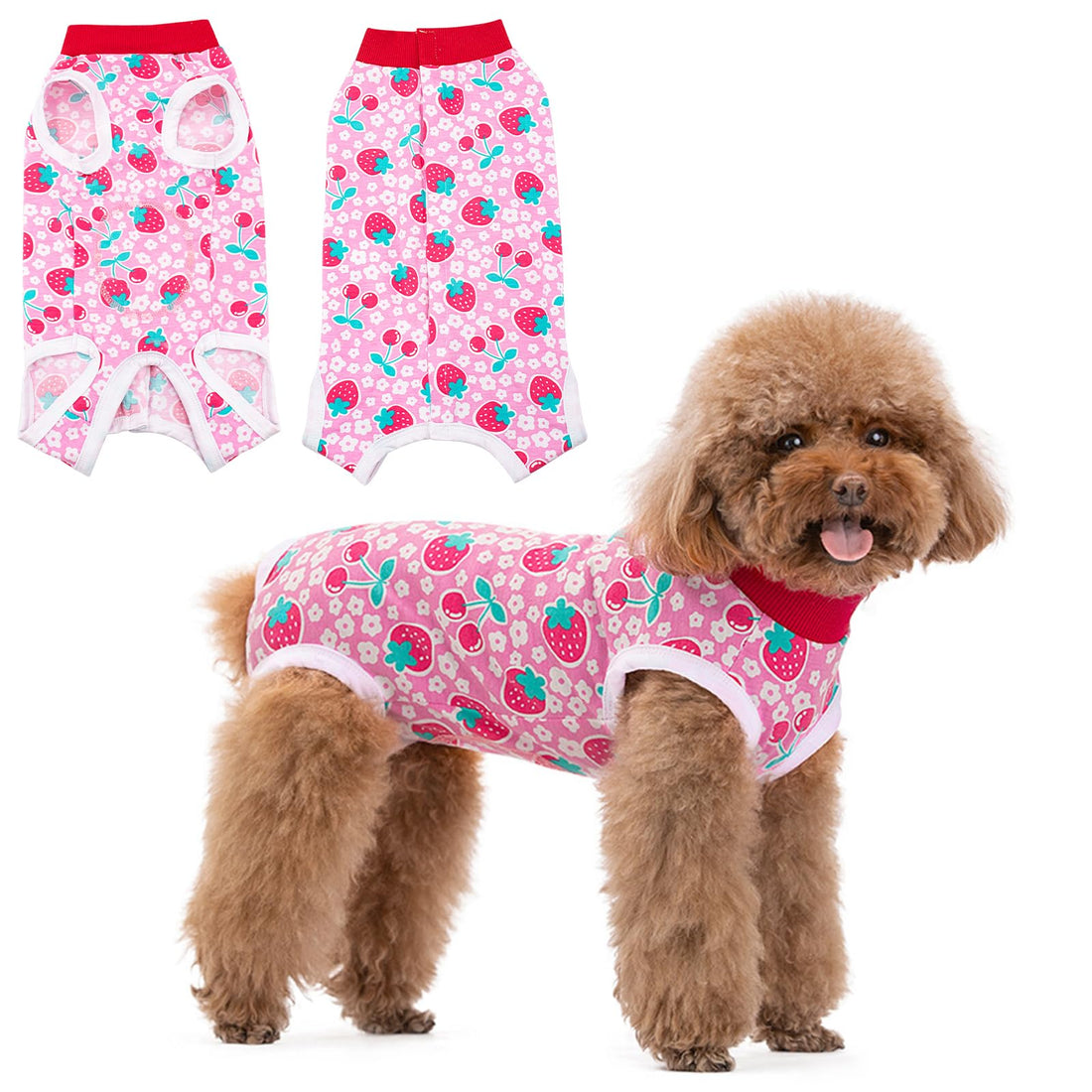 Coppthinktu Recovery Suit for Dogs After Surgery