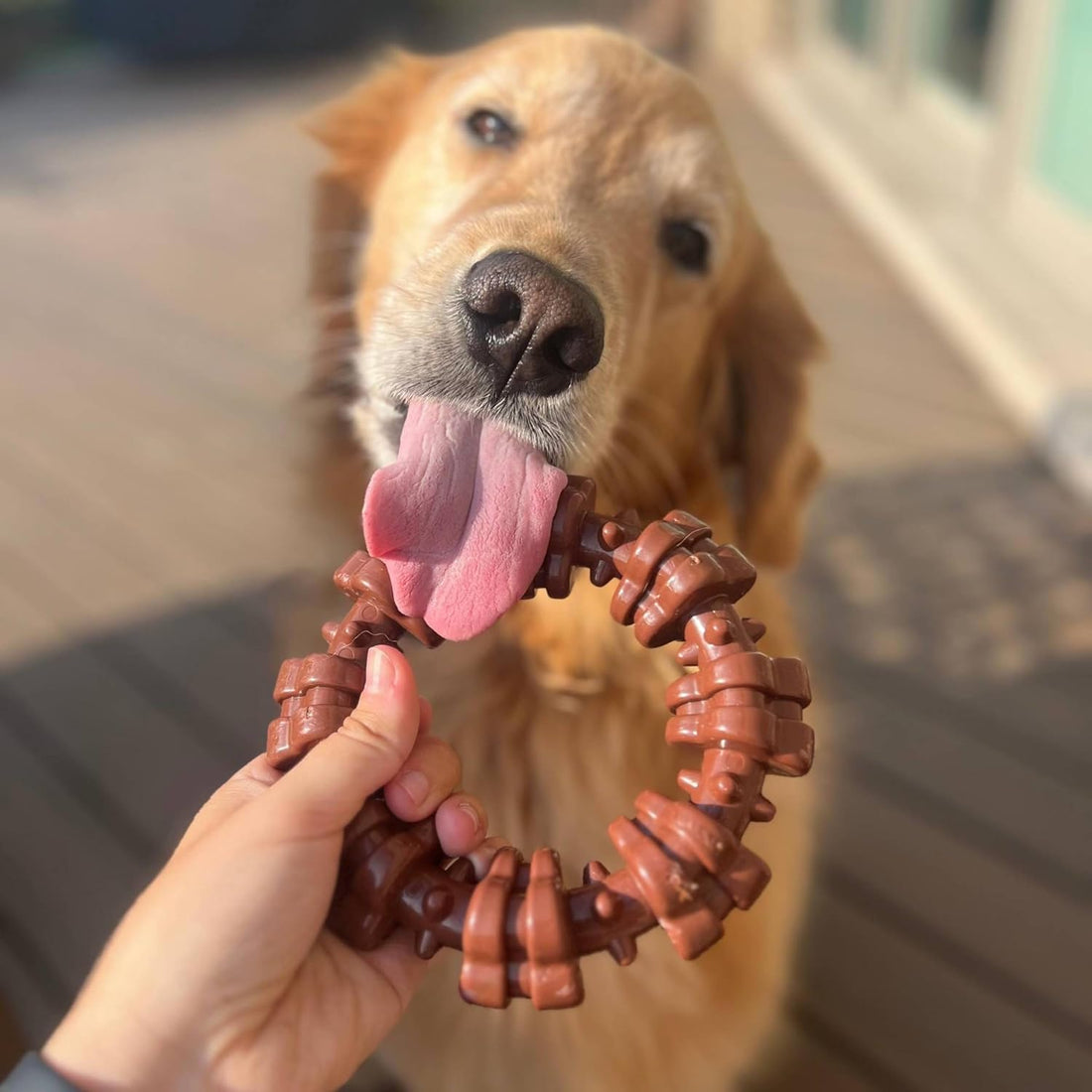 Nylabone Textured Ring Power Chew Toy for Large Dogs