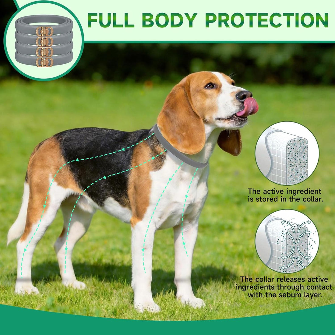4 Pack Flea Collar for Dogs, 32 Months Flea and Tick Prevention