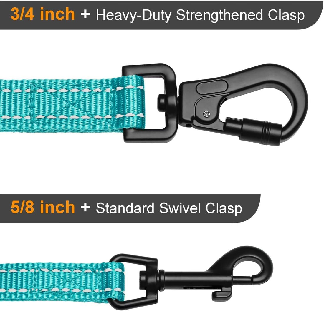 Didog 6FT Reflective Dog Leash for Small Medium Dogs, Slim 5/8" Width