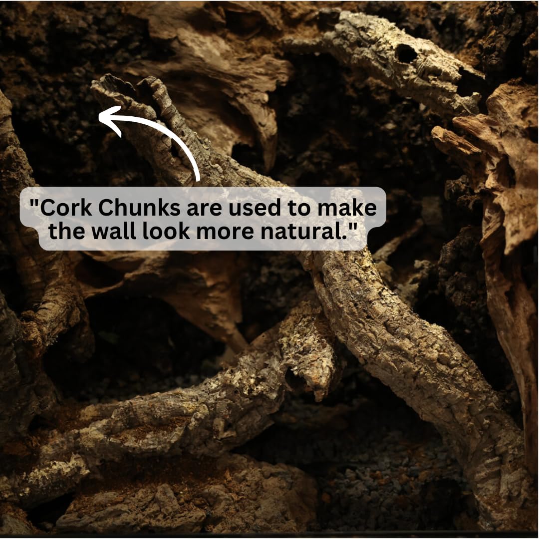 Carbonized Cork Terrarium Background (Med - LG Chunks 12qt)