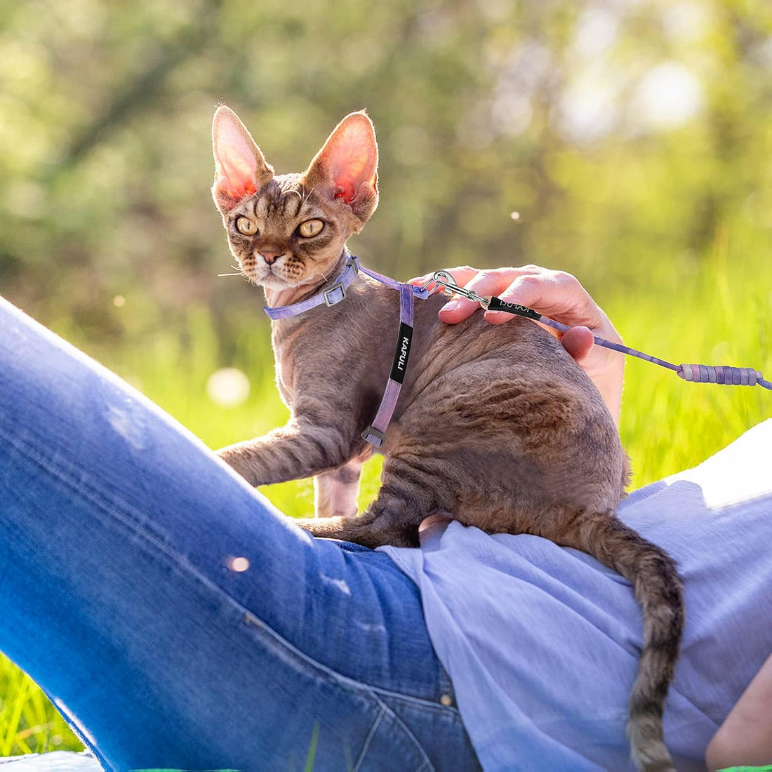 TIESOME Cat Harness and Leash Set