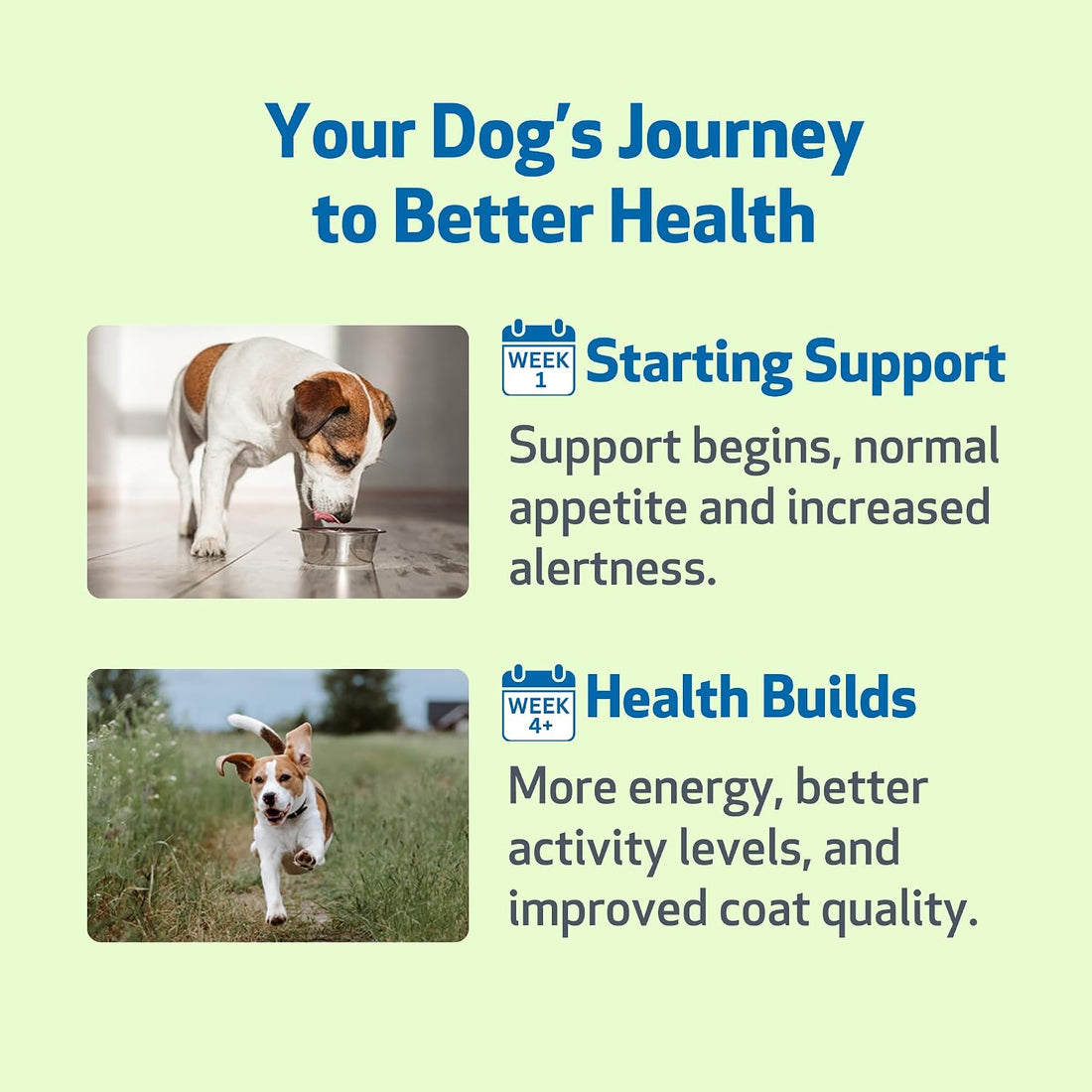 Pet Wellbeing Milk Thistle for Dogs - Organic Milk Thistle