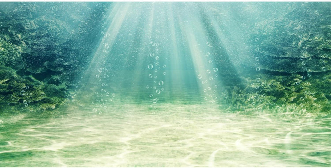 24x16 inches Aquarium Backdrop Underwater Ocean Floor Fish Tank