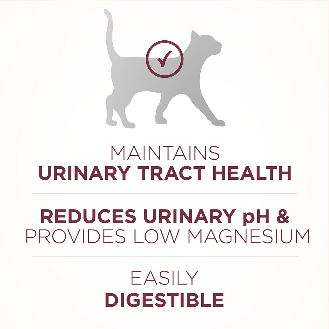 Purina ONE High Protein Dry Cat Food