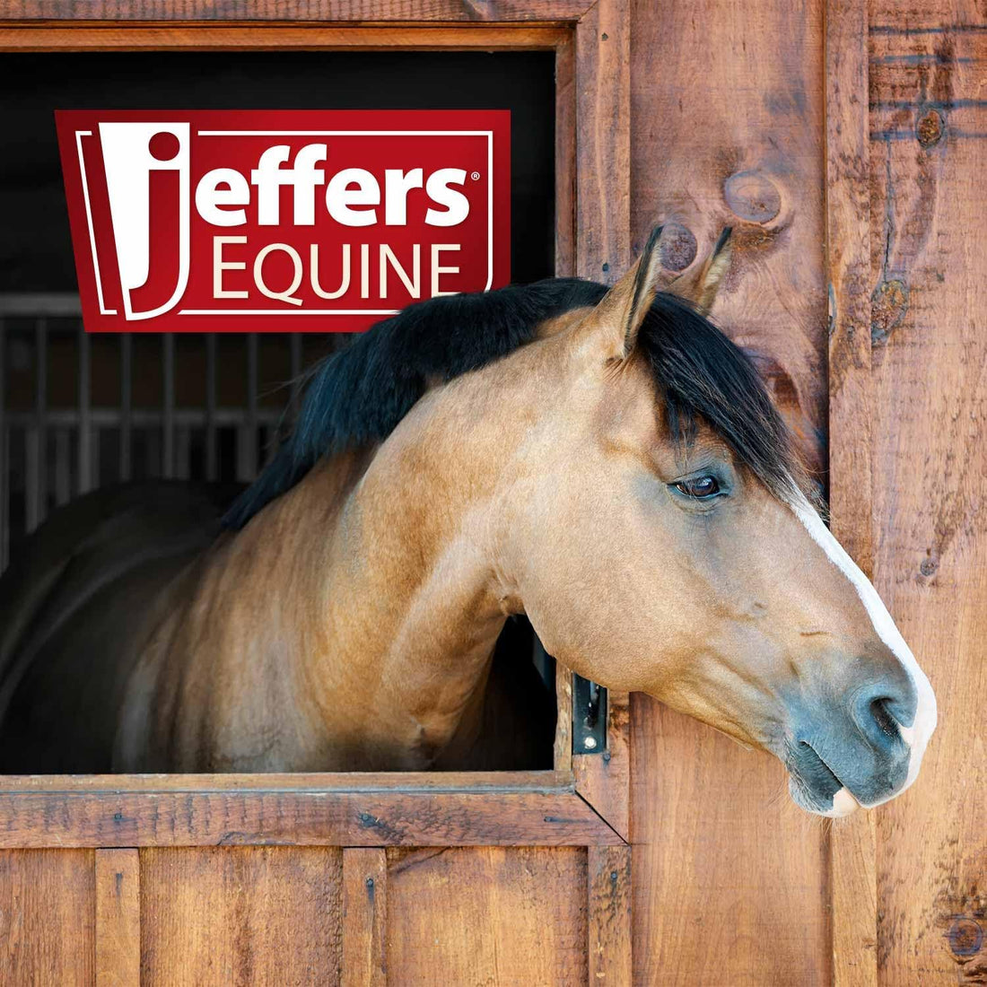 Jeffers 12-Tine Mini Fork Head