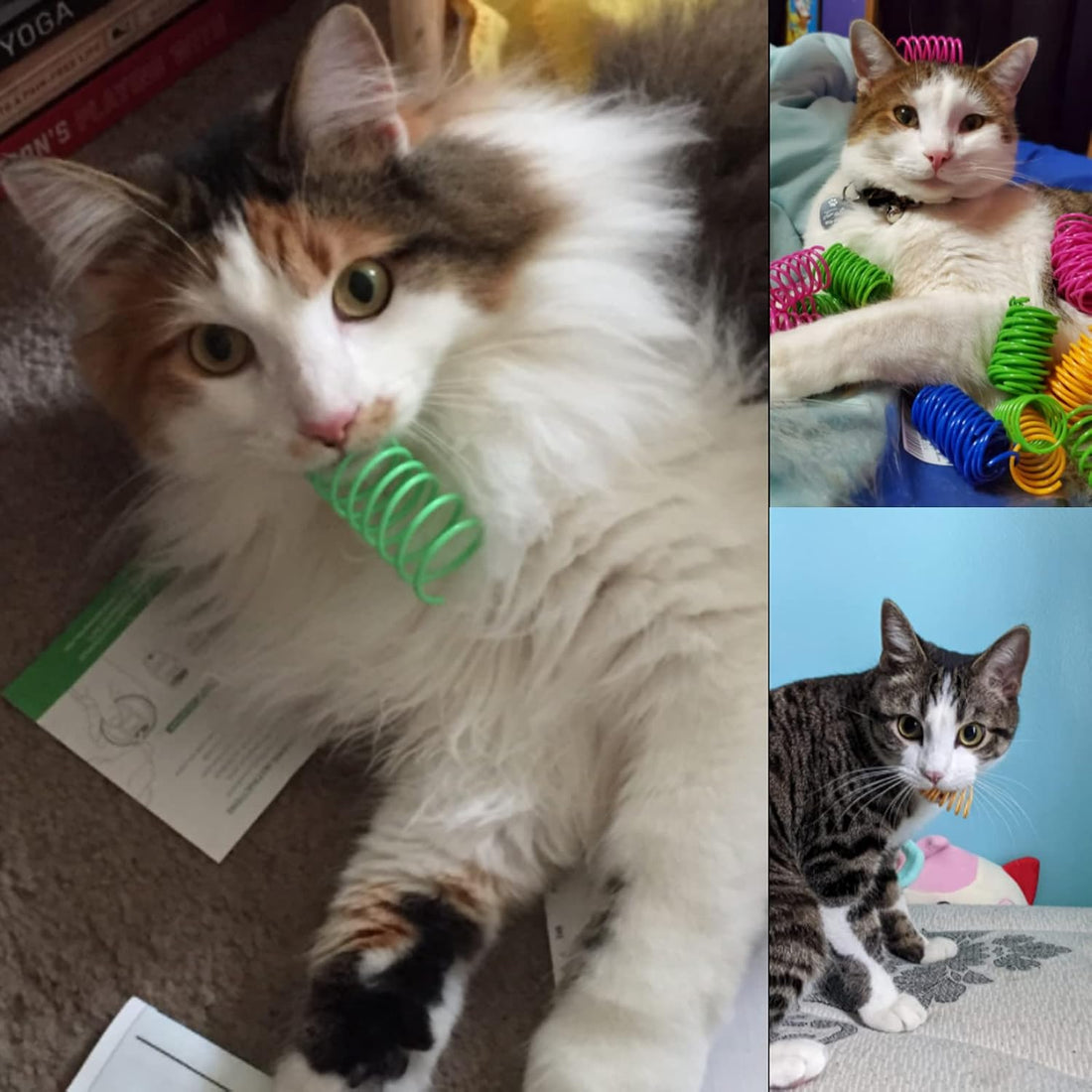 ISMARTEN 100 Pack Pet Wide Colorful Springs Cat Toys Plastic Coil