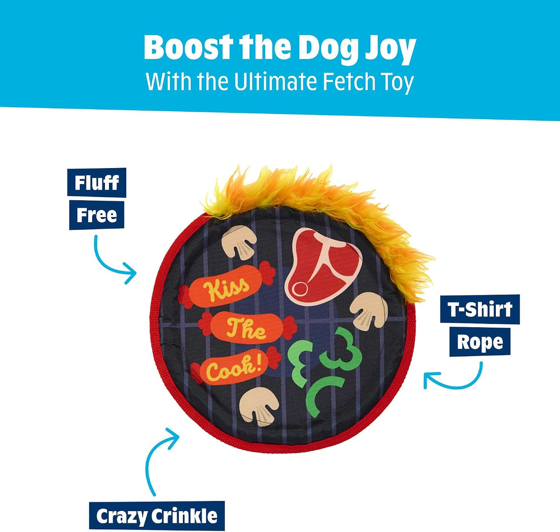 BarkBox Bark-B-Q Flying Disc Dog Toy - for Dogs