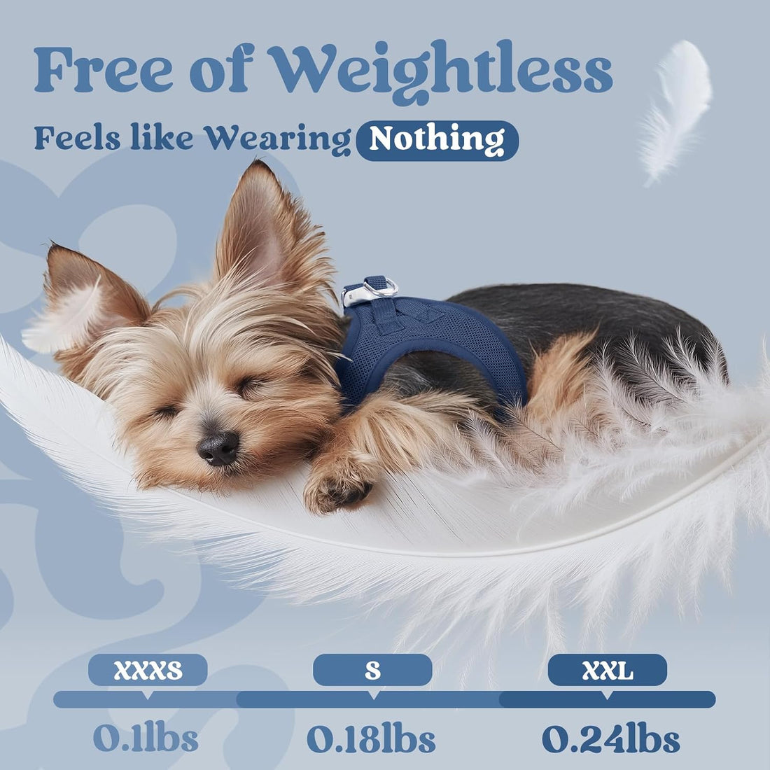 rabbitgoo Small Dog Harness, Step-in Soft Mesh Puppy Vest with Safety