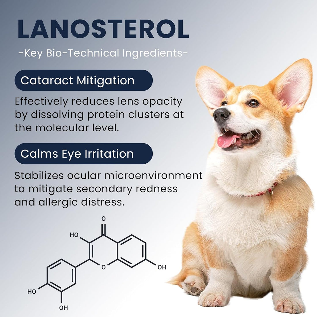 Cataract Drops for Dogs, Dog Eye Drops for Relieving Itching