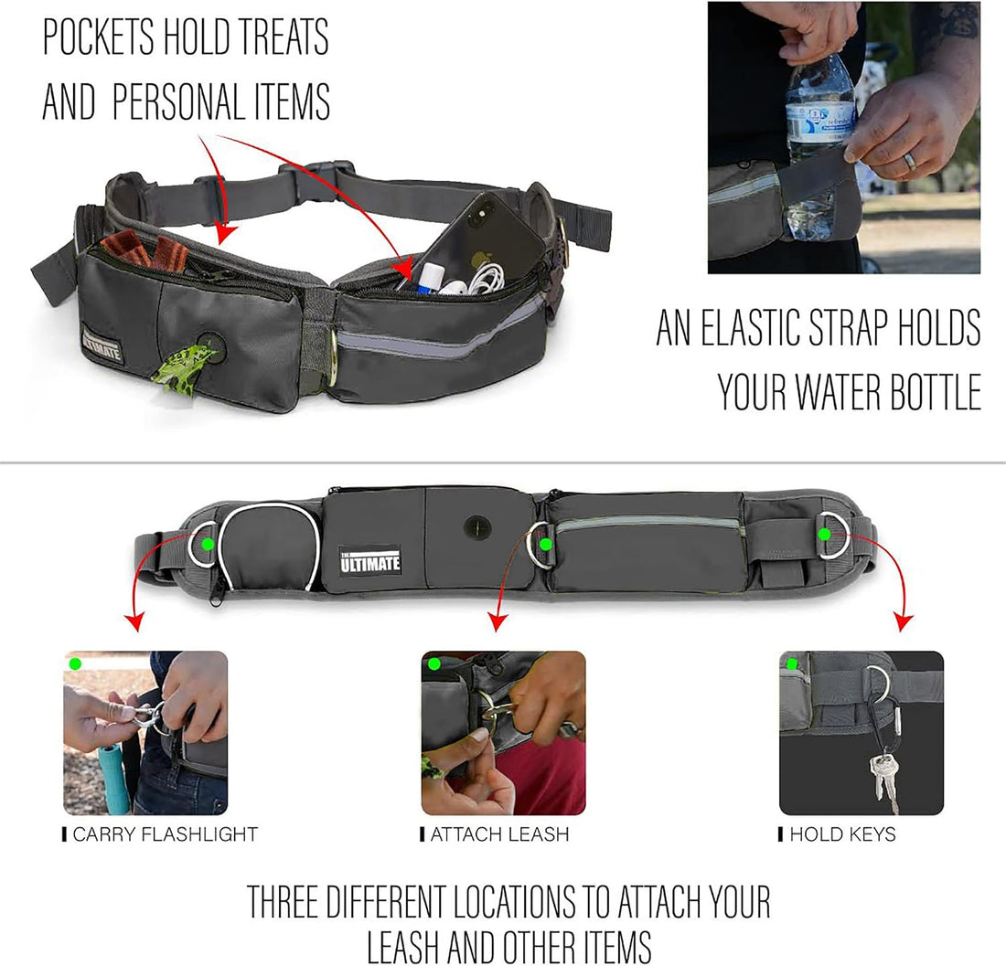 TAKSIN The Ultimate Hands Free Dog Leash System for Walking Running