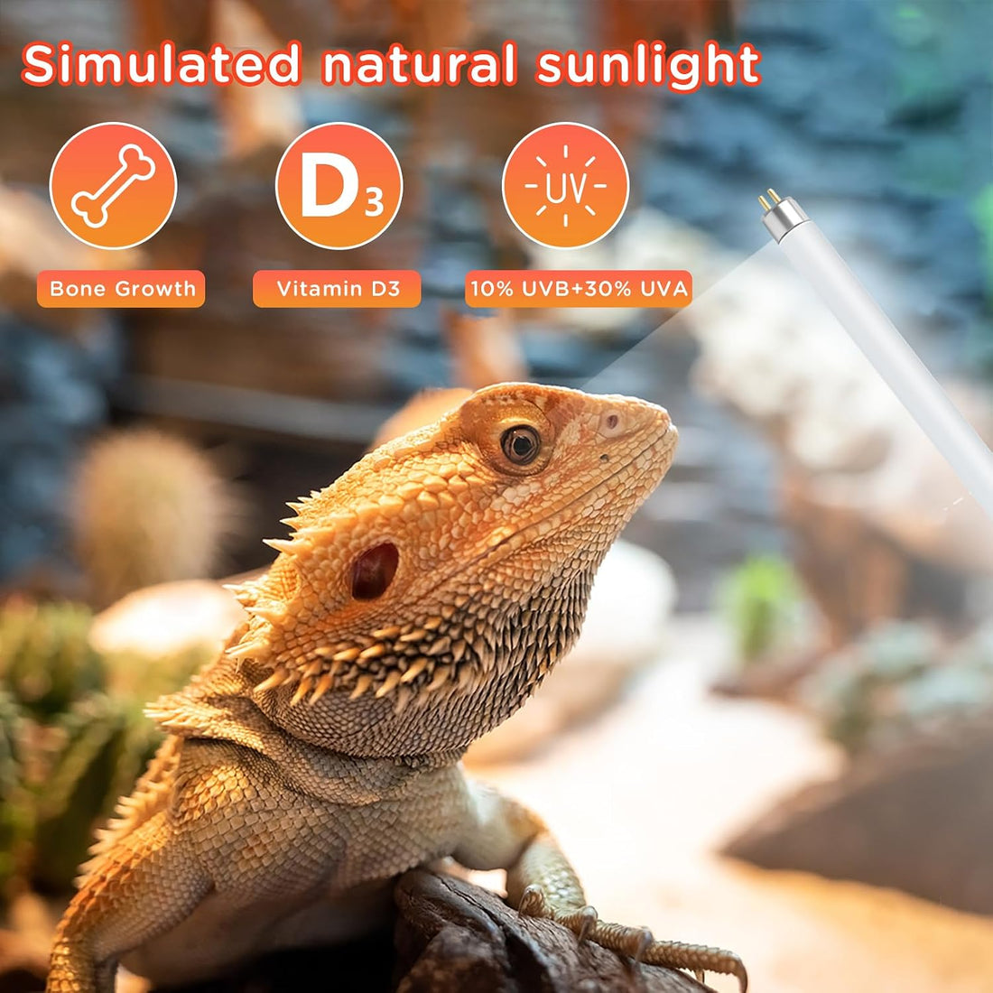 T8 UVB Reptile Light 15W 10.0-2 Pack,UVA UVB Light Bulb