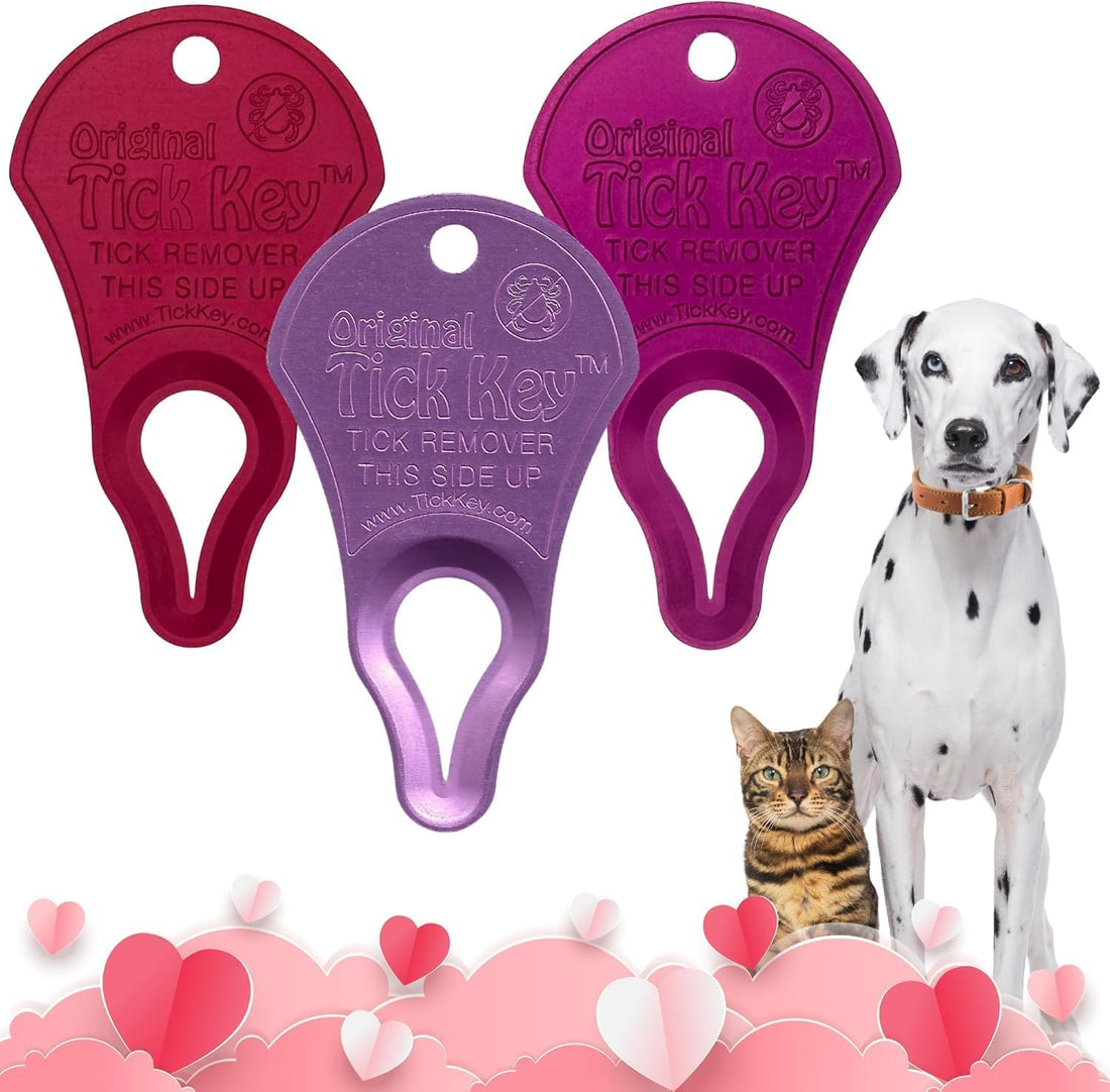 Love Bundle - The Original Tick Key - Tick Detaching Device - Portable