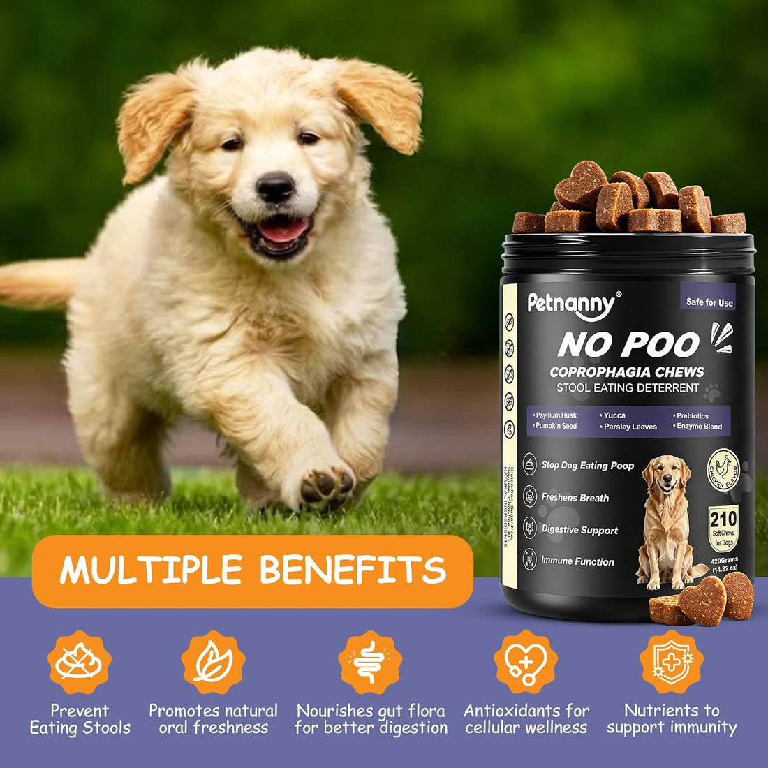 Petnanny No Poo Chews for Dogs