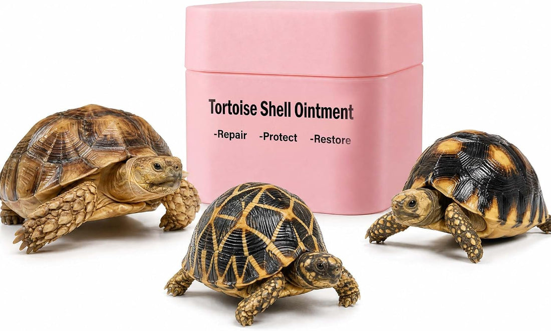 Tortoise Shell Conditioner Balm, 50 g