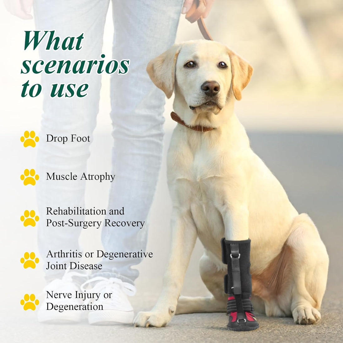 Strap-On Drop Foot Brace (No Knuckling Boot Brace) for Dogs, M