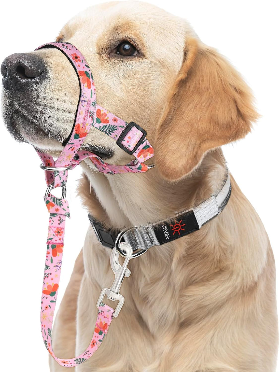 HIGO Dog Head Collar, Adjustable Head Collar for Dogs