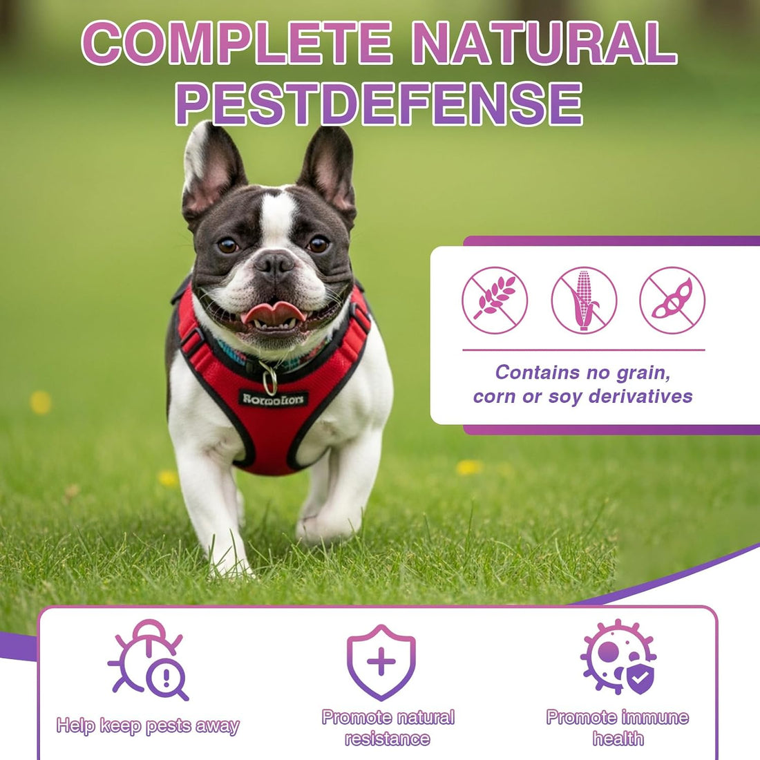 Dog Flea and Tick Chewable Tablets 200 Soft Chews Oral Supplement