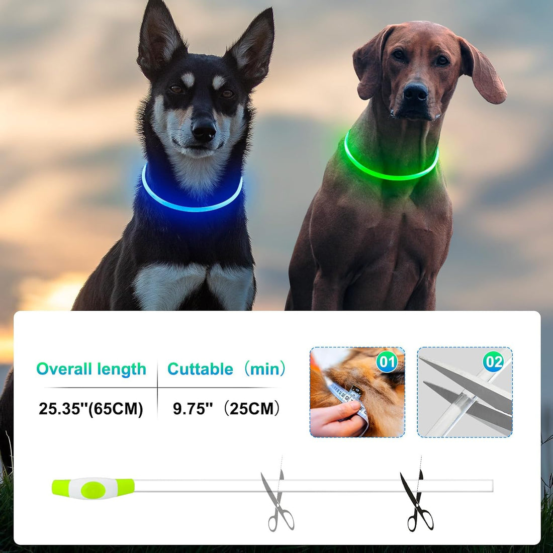 2 Packs Light Up Dog Collar, Kpuplol USB Rechargeable Dog Lights