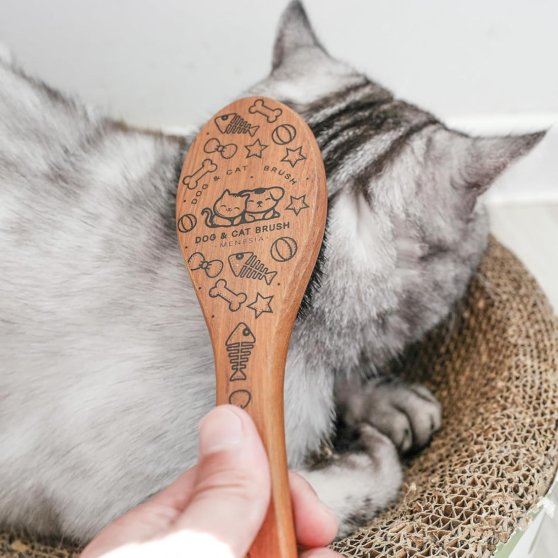 Menesia Pet Soft Brush with Wood Handle and Boar Bristle Hair