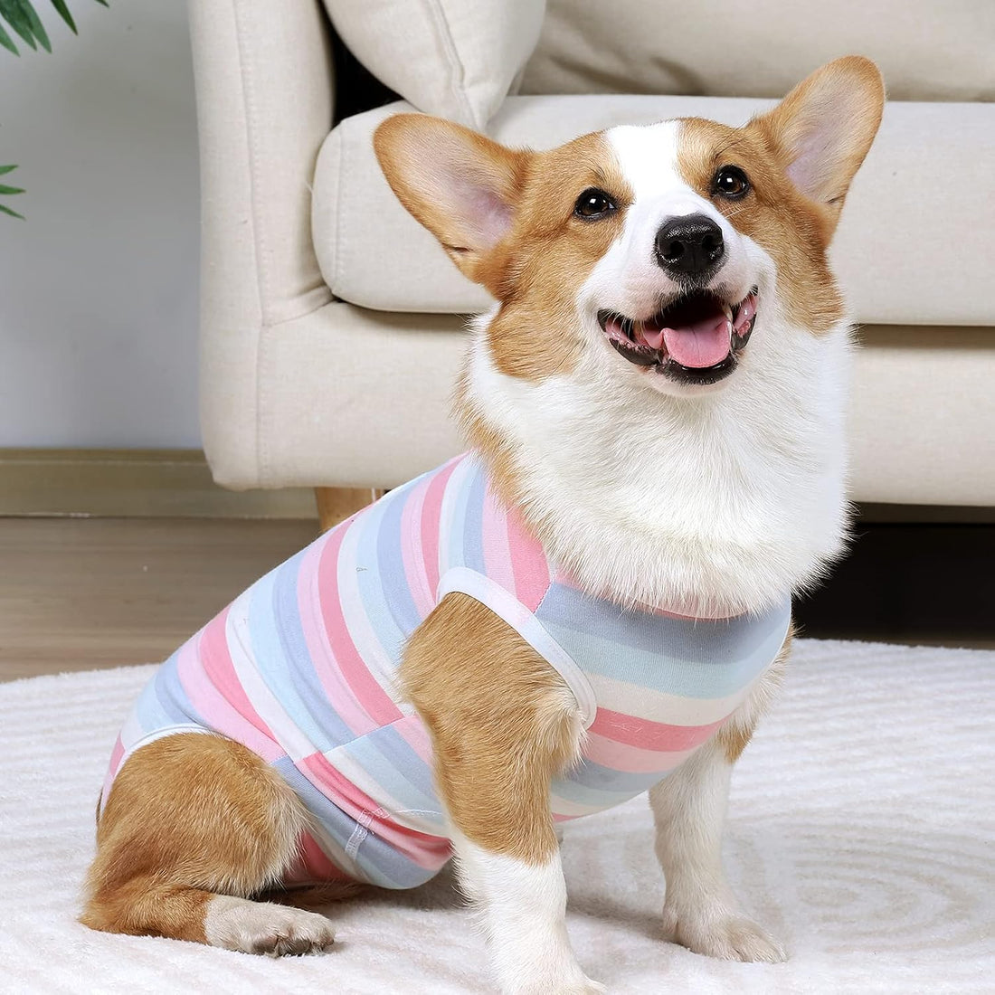 Recovery Suit for Dogs Dog Onesie for Surgery