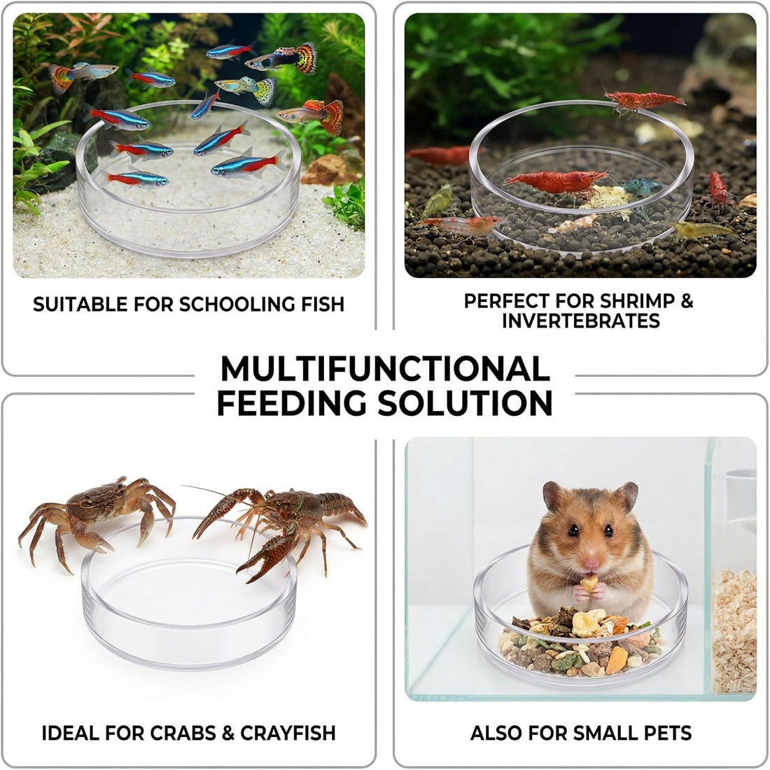 4 Pcs Shrimp Feeding Dish, Fish Tank Feeder 65mm and 85mm