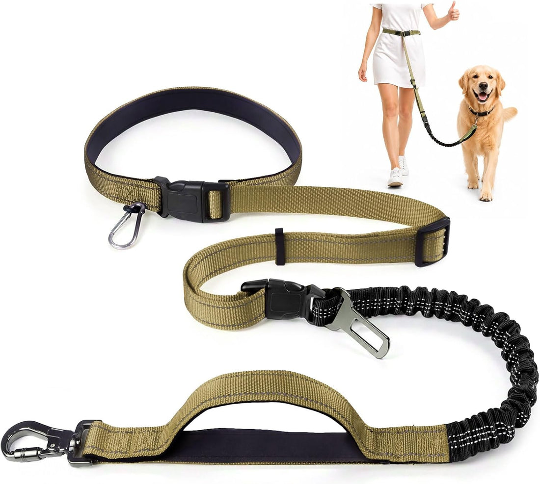 PETCARE 4 in 1 Hands Free Dog Leash with Car Seatbelt Buckle
