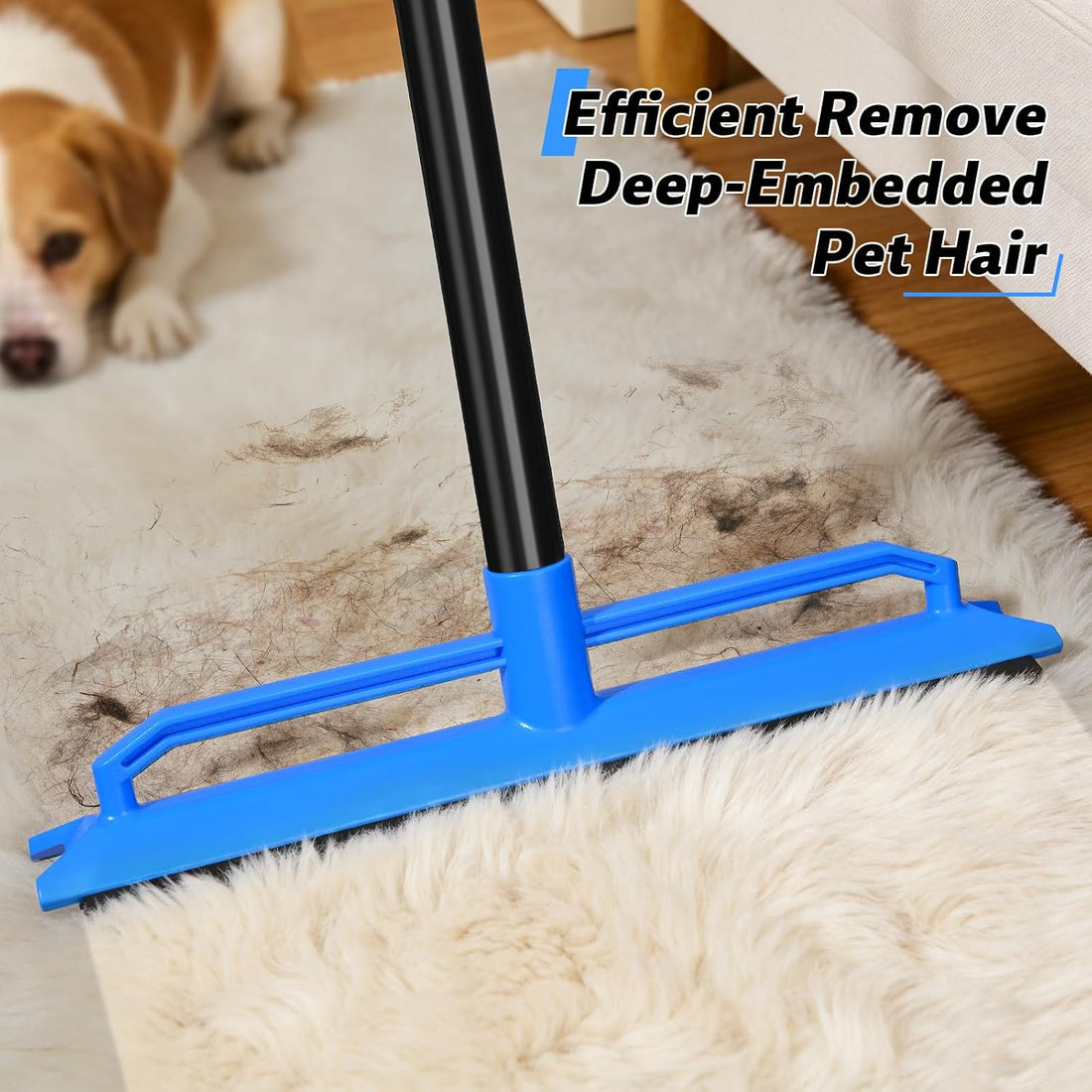BUVE 2 in 1 Carpet Rake for Pet Hair Removal Tool