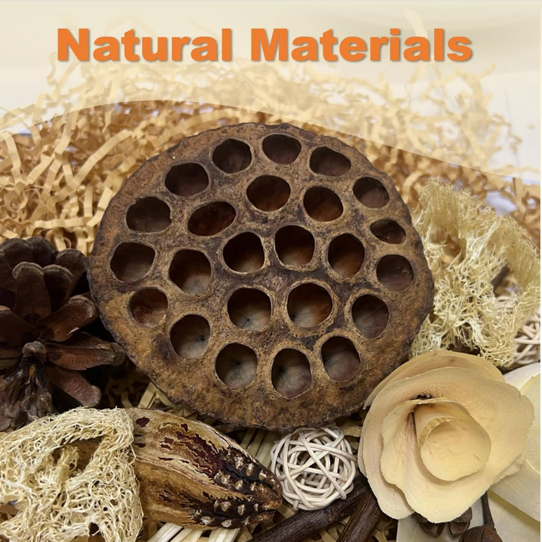 Bird Pet Toys - Lotus Pod Foraging Box, 10 Natural Ingredients