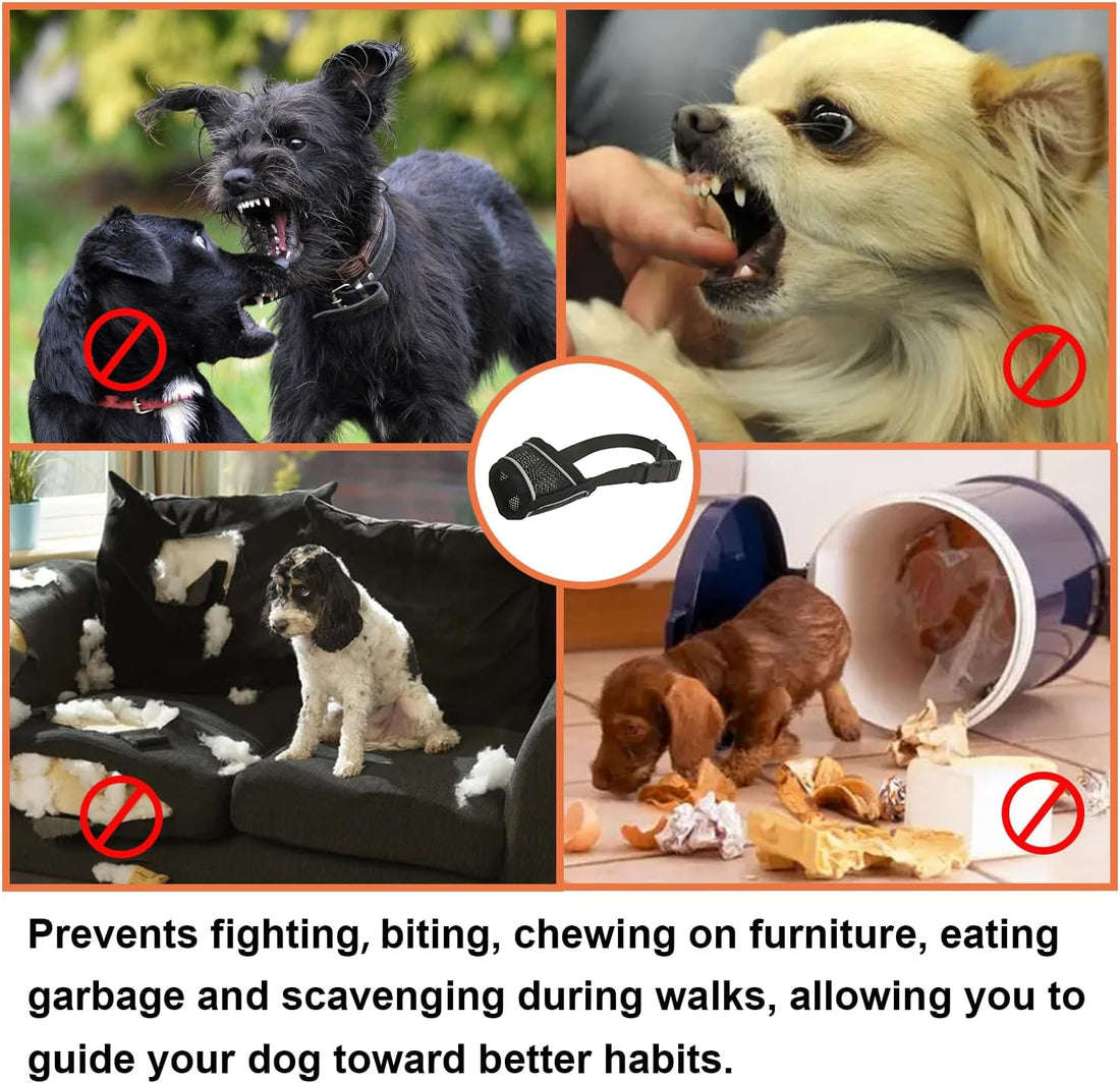 Dog Muzzle for Small Medium Large Dogs Soft Air Mesh Muzzles