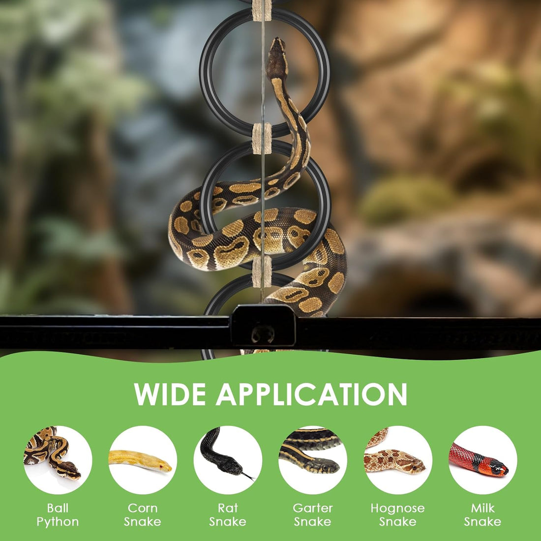 DBNESS Snake Climbing Rings, Ball Python Enclosure Enrichment Ring