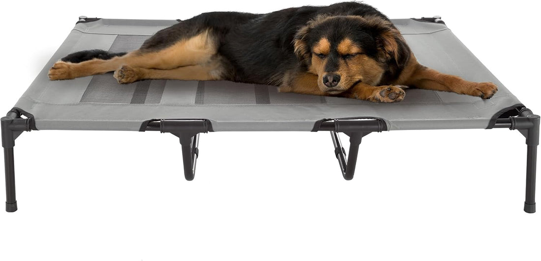 Elevated Dog Bed - 48x35.5-Inch Portable Pet Bed with Non-Slip Feet