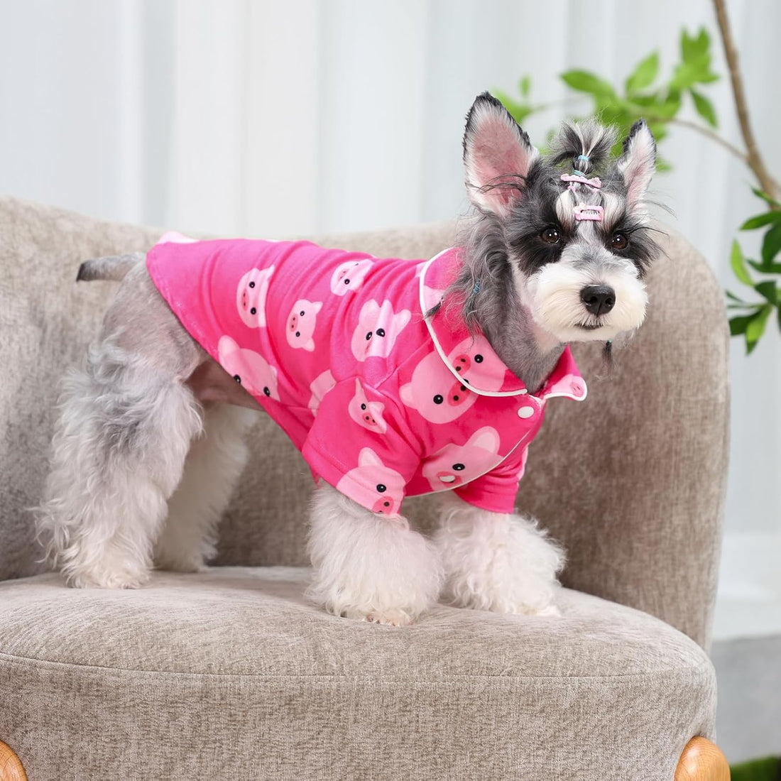 CuteBone Two-Leg Velvet Pet Pajamas Girl Dog Clothes - Soft, Cozy