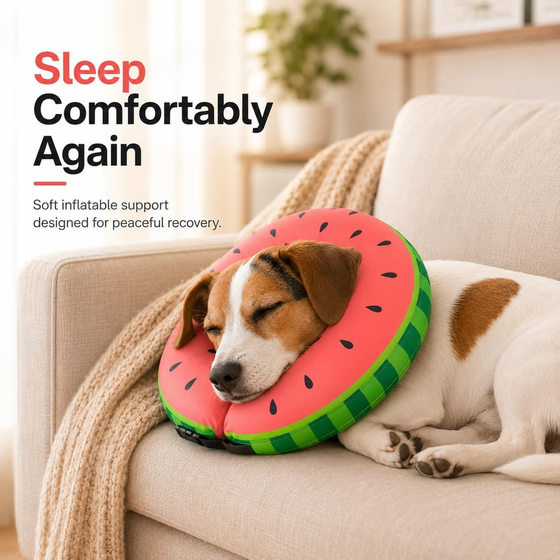 MIDOG Soft Inflatable Dog Cone
