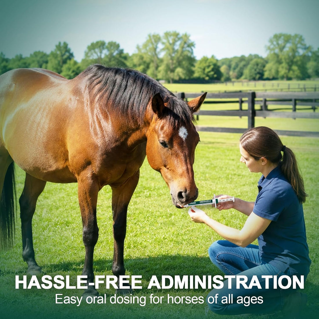 3 Pack Oral Paste Syringe for Horses,Apple Flavor