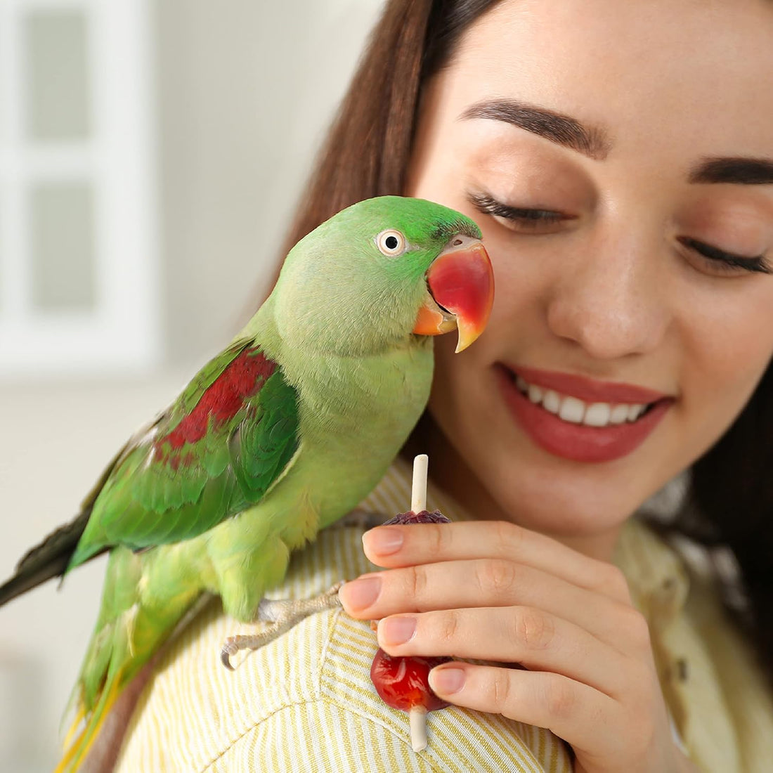 Wild Harvest Fruit Kabobs Bird Treat, 6 Count