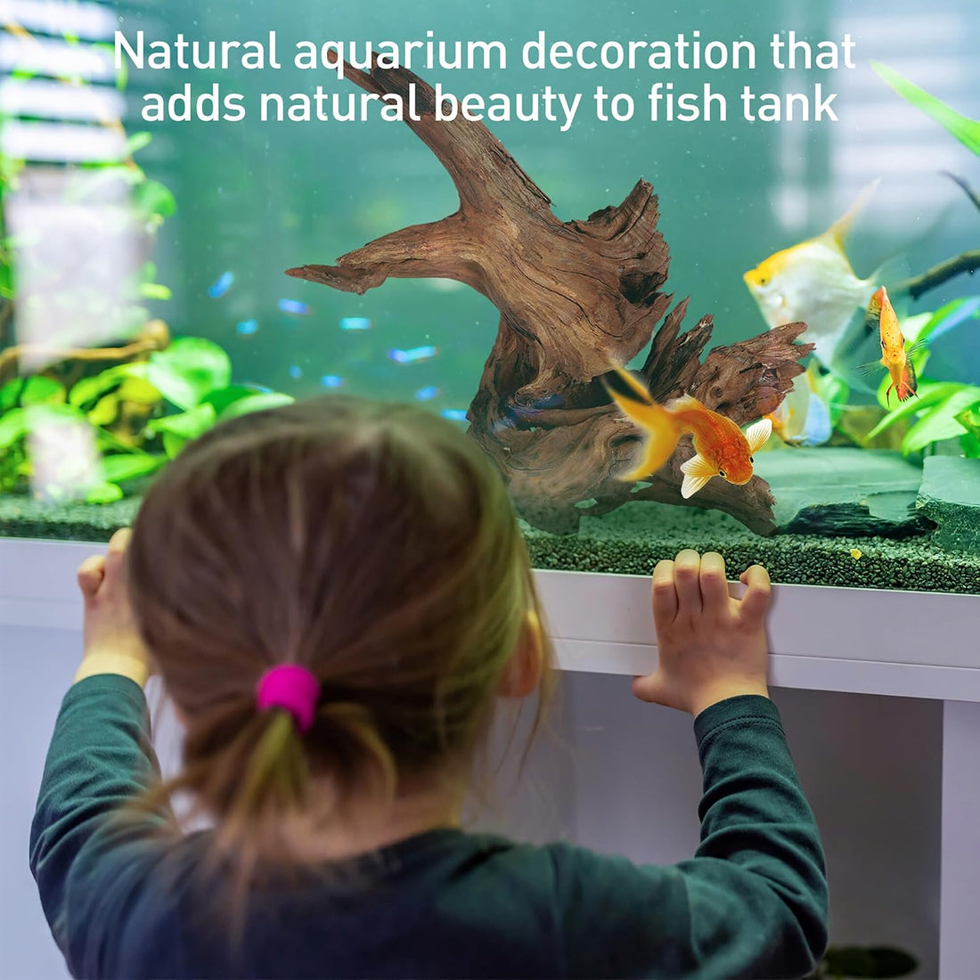 WDEFUN 3 PCS Natural Driftwood for Aquarium Decor Fish Tank
