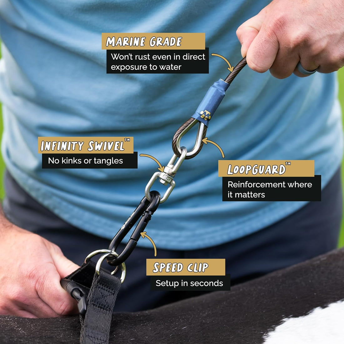 ROYAL PAW Dog Tie Out Cable and Stake 30ft