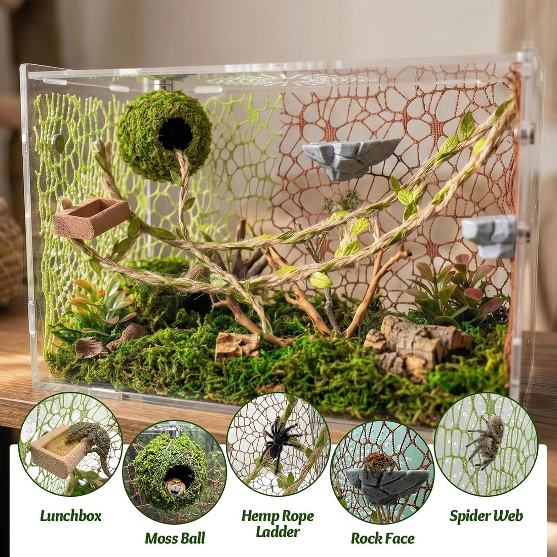 Jumping Spider Enclosure Accessories Kit - Magnetic Moss Ball Hideout