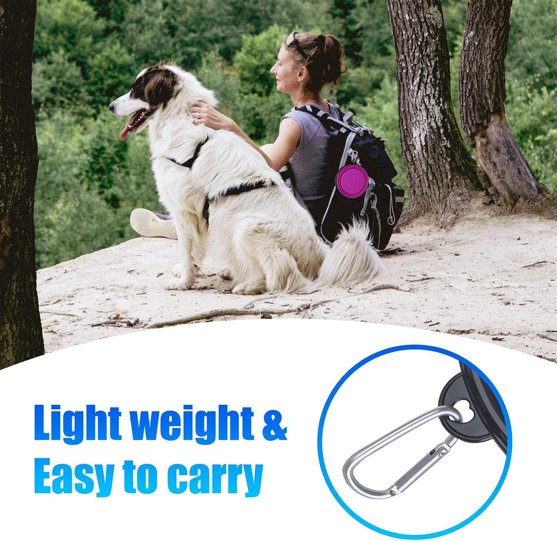 Dog Bowl Large Pet Collapsible Bowls