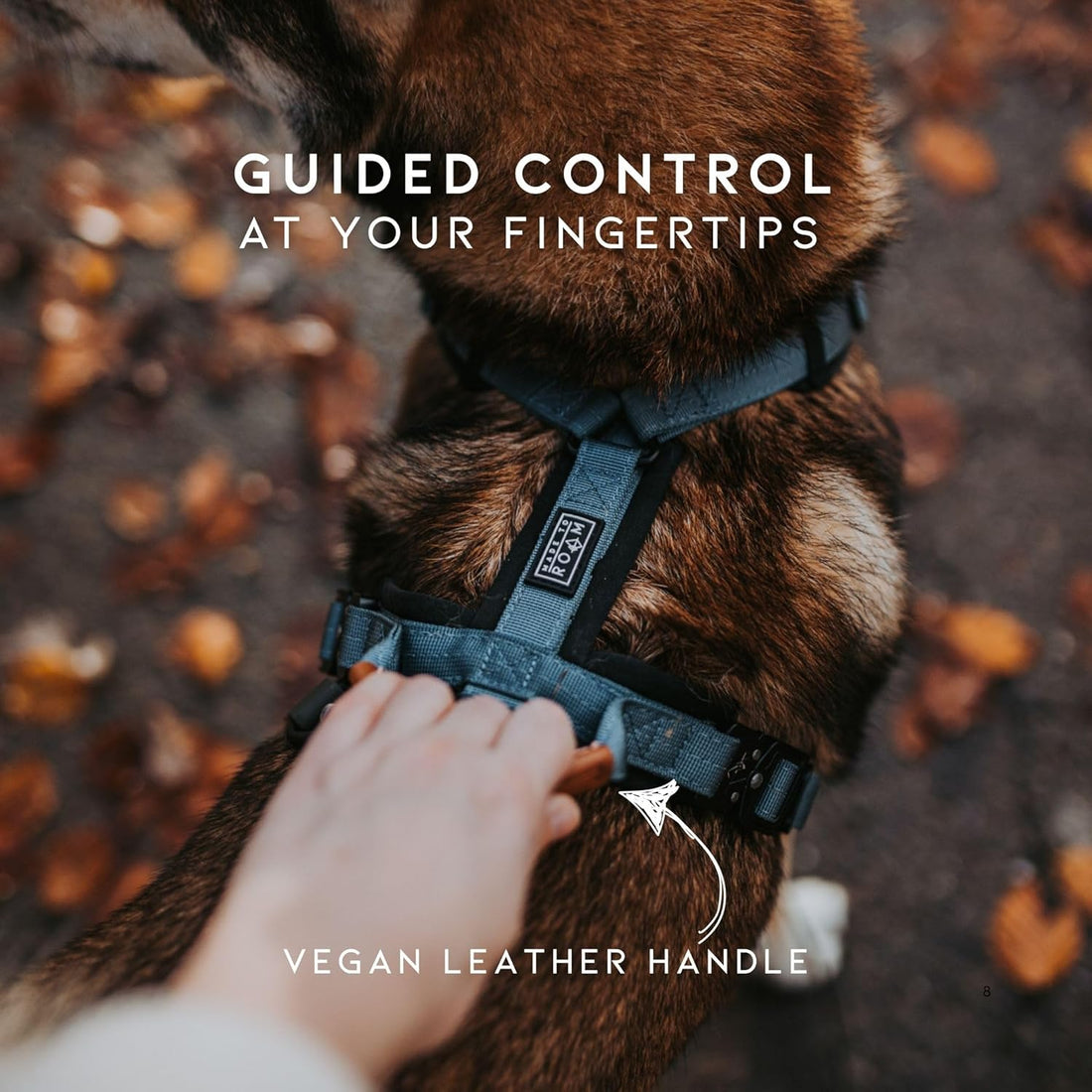 MADE TO ROAM Premium Explorer Harness