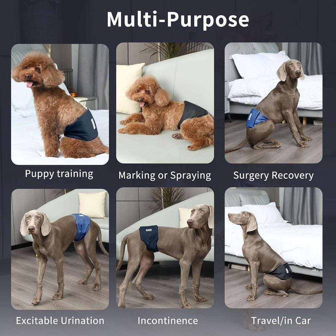 JoyDaog 5 Pack Washable Male Dog Diapers,Reusable Small Dog Belly